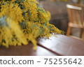 Mimosa on the table 75255642