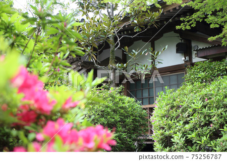 Kosei Temple（木更津市） 75256787
