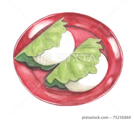 Kashiwa mochi [Hand-painted watercolor] 75256860