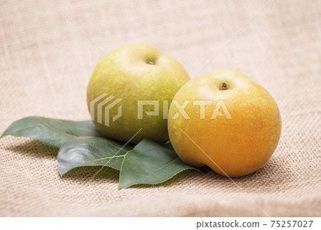Pear and pear leaf fruit fruit Komizu pear image material 75257027