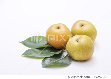 Pear and pear leaf fruit fruit Komizu pear image material 75257028
