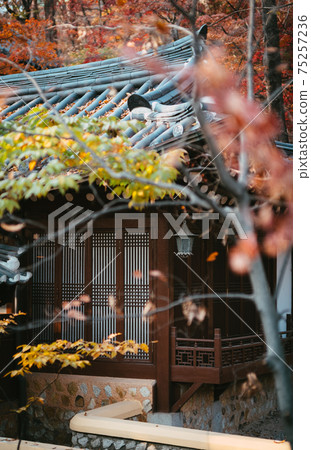 可以看到韓國建築史的宮殿外觀，景福宮，昌慶宮 75257236