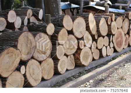 Stacked, chopped wood Stacked, chopped wood 75257648