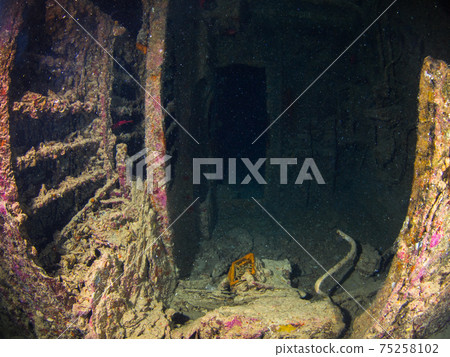 Inside the WWII wreck (Sharm el Sheikh, Red Sea, Egypt) 75258102