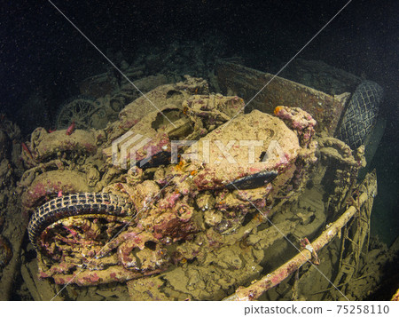 Bikes remaining in the wreck of World War II (Sharm el Sheikh, Red Sea, Egypt) 75258110