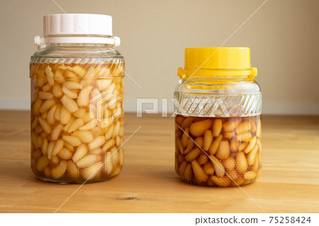 Pickled scallions in sweet and sour sauce, pickled in black vinegar (August) 75258424