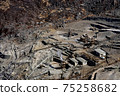 Hot spring supply in Kinreisou, Hakone 75258682