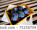Hakone Owakudani specialty black egg 75258709
