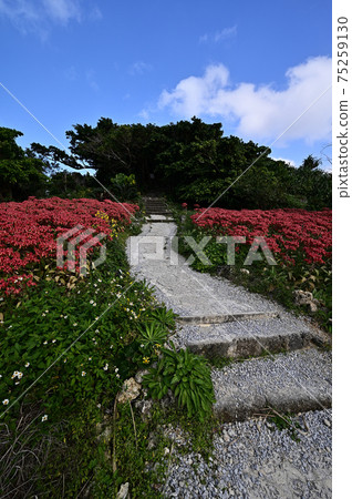 From Santen Goza 75259130