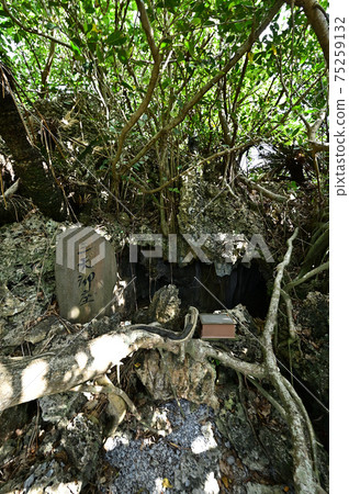 From Santen Goza 75259132