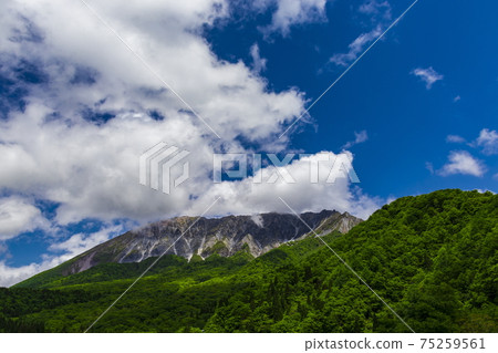 Fresh green national park Oyama ____ at Keyaketoge Observatory 75259561