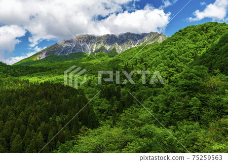 Keyaketoge天文台的新鮮綠色國家公園大山____ Keyaketoge天文台的新鮮綠色國家公園大山____ 75259563