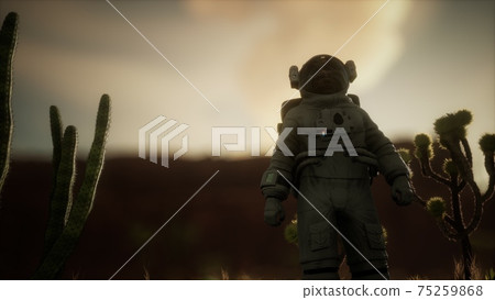 Astronauth in the high desert of Nevada Astronauth in the high desert of Nevada 75259868