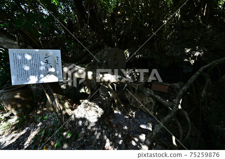 從Santen Goza 從Santen Goza 75259876