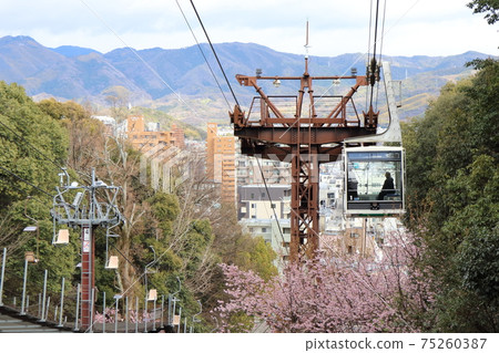 春季松山城索道和纜車 75260387