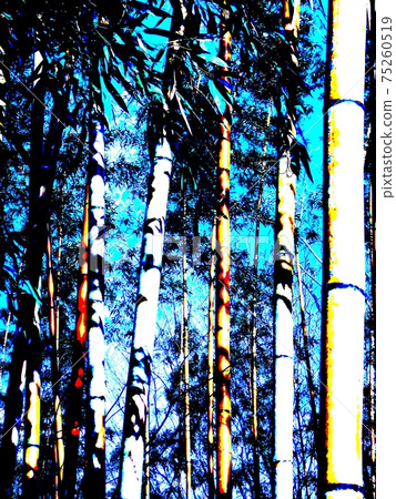 Bamboo grove Bamboo grove 75260519