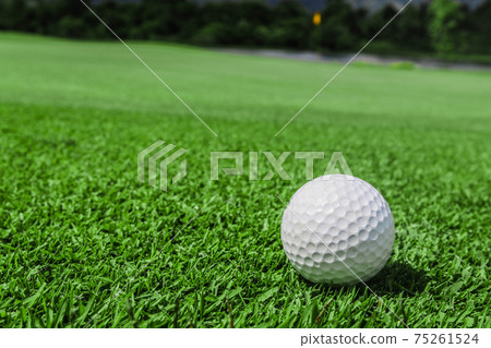 Golf ball on course Golf ball on course 75261524