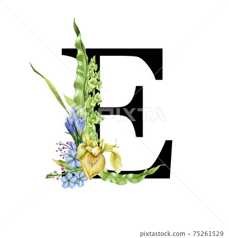 Flower letter E. Floral spring alphabet. Capital letter E element with spring garden flower branch bouquets composition. Wedding invitations, baby shower, birthday, other ideas. On white background 75261529