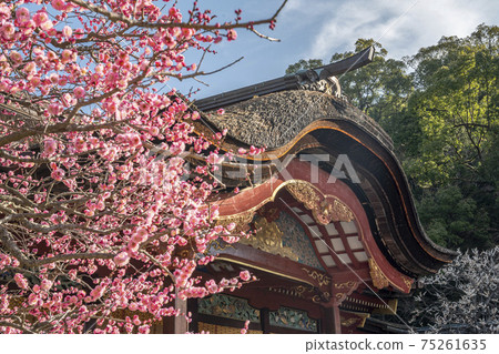 太宰府天滿古古 太宰府天滿古古 75261635