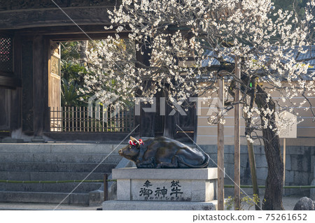 Dazaifu Tenmanguugu Dazaifu Tenmanguugu 75261652