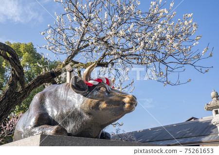 Dazaifu Tenmanguugu 75261653
