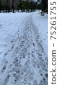Traces of snow 75261755