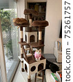 Cat Tower Battle 3 75261757