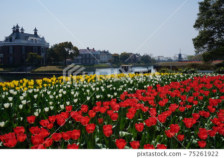 荷蘭風景 75261922