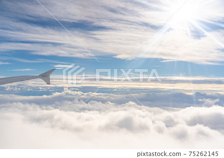 Hachijojima Hachijojima Airport Island Nature Outdoor Remote Island Izu Islands Landscape Resort Worcation Sightseeing Travel 75262145