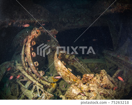 二次世界大戰殘骸中剩餘的備件（埃及紅海沙姆沙伊赫） 75263218