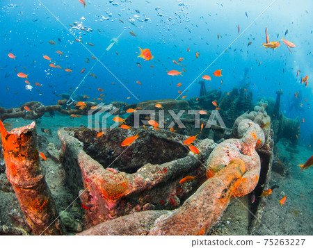 第二次世界大戰沉船錨絞車和海上戈迪(埃及紅海沙姆沙伊赫) 第二次世界大戰沉船錨絞車和海上戈迪(埃及紅海沙姆沙伊赫) 75263227