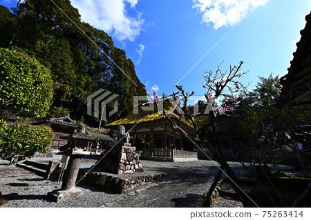 從神社 75263414
