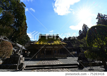從神社 從神社 75263416
