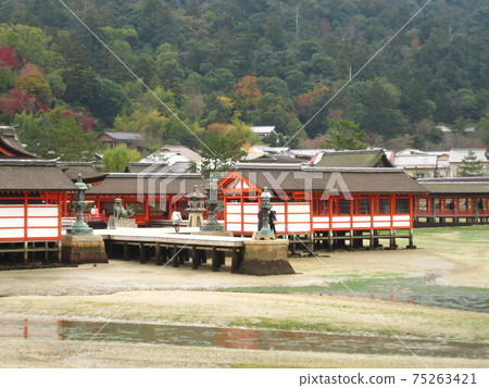 宮島的風景 宮島的風景 75263421