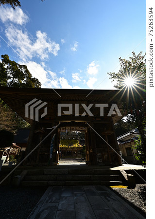 從神社 75263594