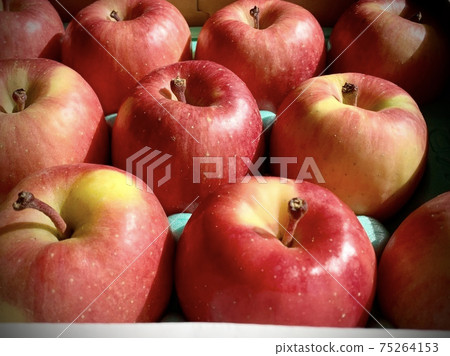 蘋果形象照片素材 蘋果形象照片素材 75264153