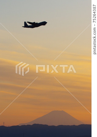 C-130 Hercules flying in the evening 75264387