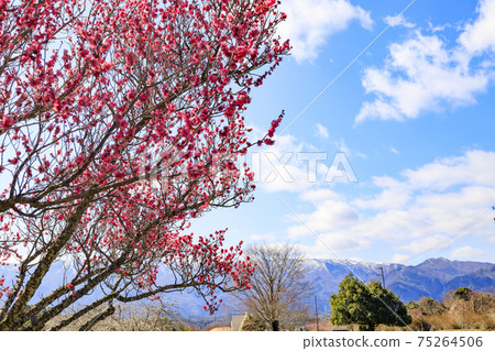 Inabe City Bairin Park 75264506