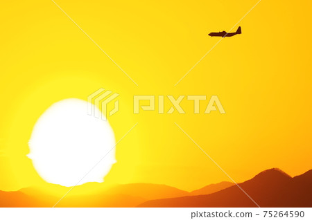 C-130 Hercules flying in the evening 75264590