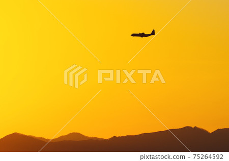 C-130 Hercules flying in the evening 75264592