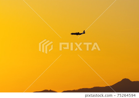 C-130 Hercules flying in the evening 75264594
