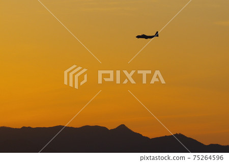 C-130 Hercules flying in the evening 75264596
