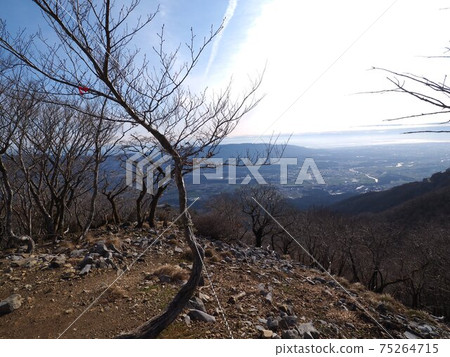 Scenery from the 9th station of Mt. Fujiwara March 2021 75264715