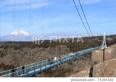三島空中步道和富士山② 三島空中步道和富士山② 75265168
