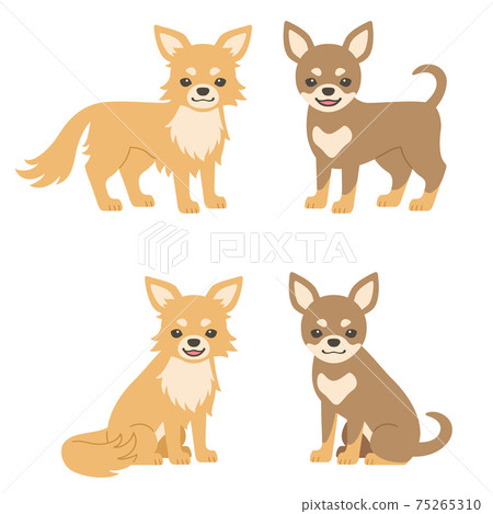 奇瓦瓦狗的例證 75265310