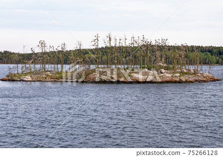 Sail away in Stockholm Archipelago 75266128