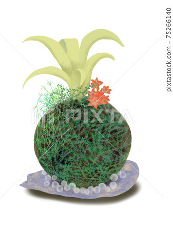 Succulent plant on Kokedama, a cool decoration of purple plates and glass balls 75266140