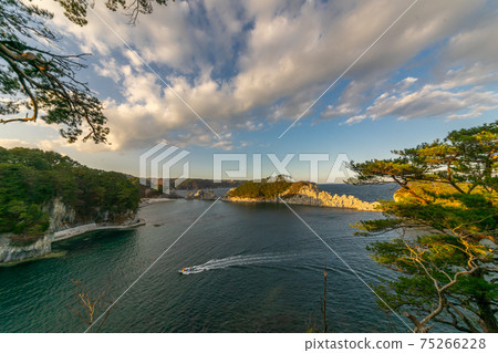 Precious scenery before the pine trees of Jodogahama that withstood the tsunami broke, taken on November 23, 2014, a symbol of Miyako 75266228
