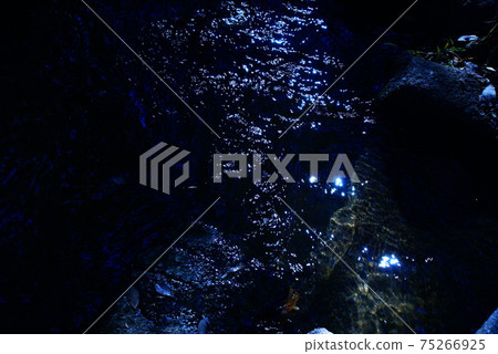 色流河流透明透明（2021年3月註冊）最大尺寸：L 75266925