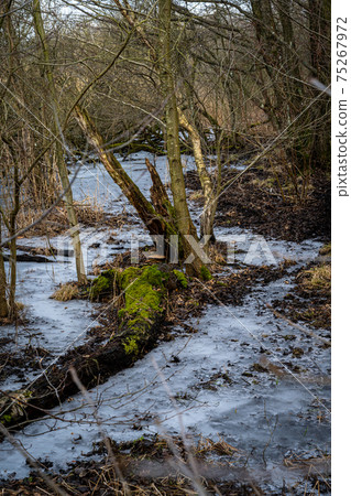 A winter photo of an icy water pond in a forest. Picture from Lund, Sweden 75267972